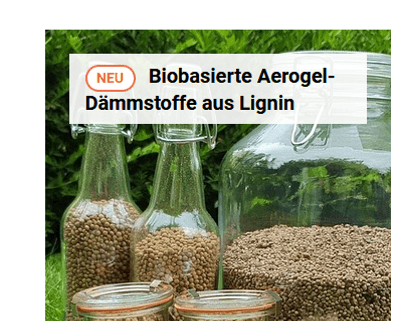 Gebäudeforum Klimaneutral Ligninaerogel